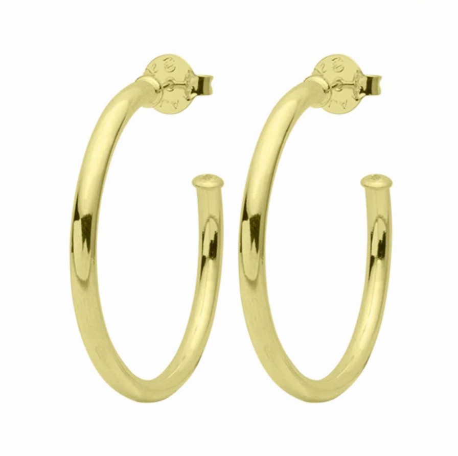 Accessories * | Smaller Everybody'S Favorite Hoops Sheila Fajl Bargain Sale Polished Gold